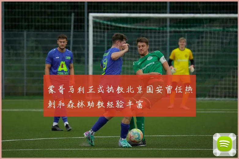 蒙哥马利正式执教北京国安曾任热刺和森林助教经验丰富