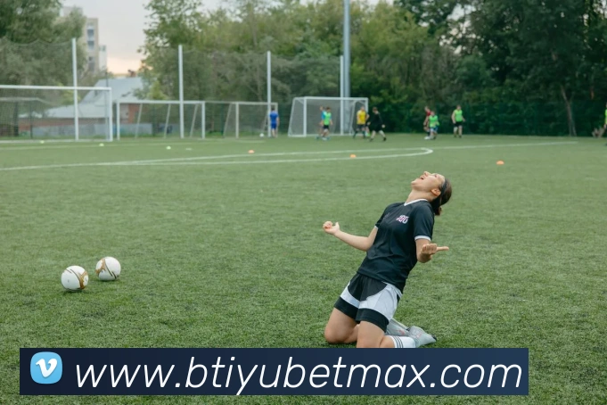 B体育平台生态图